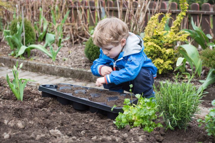 Boy planting seeds | Sheknows.com