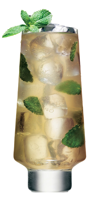 Malibu Island Spiced Mojito
