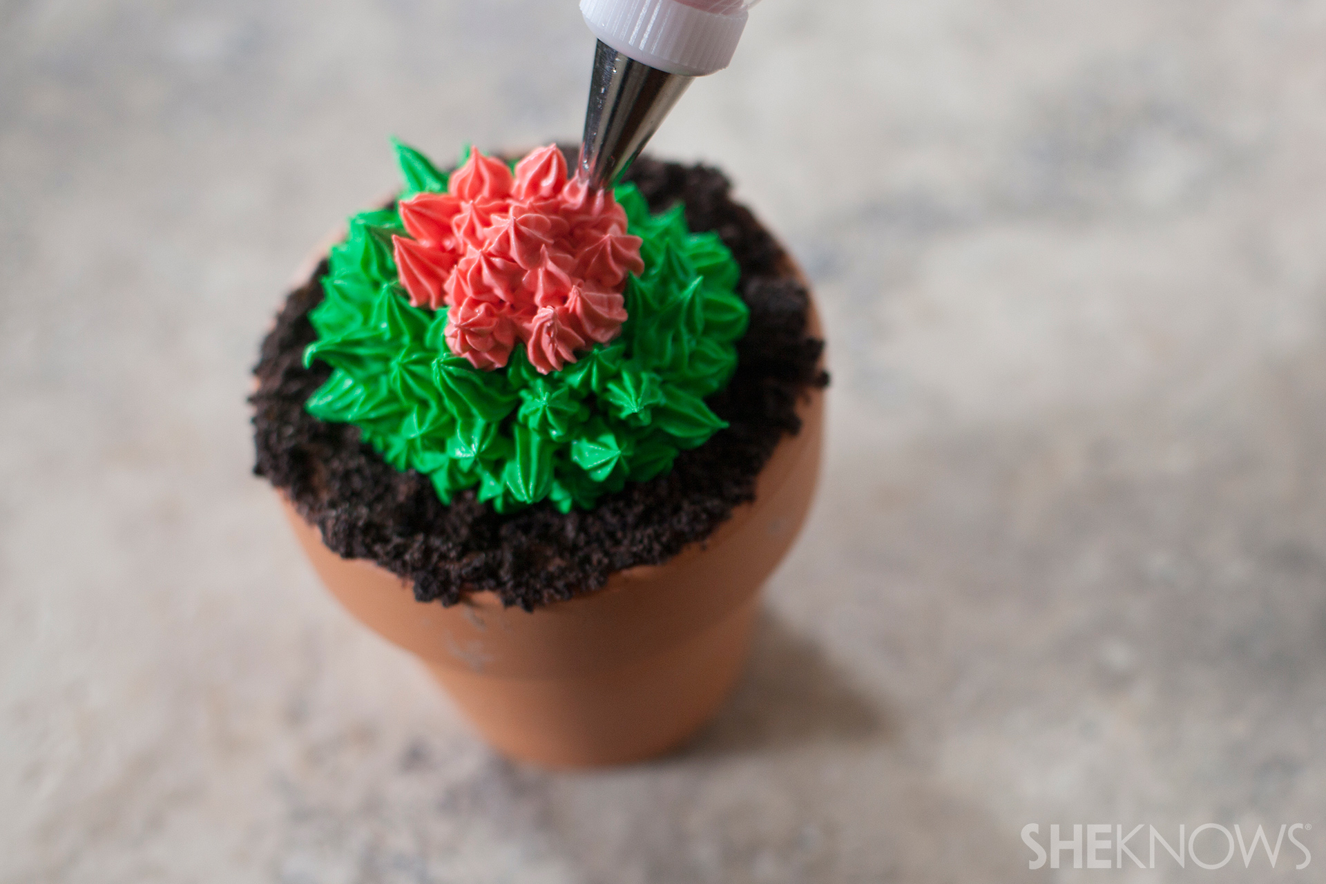 Cactus cupcakes