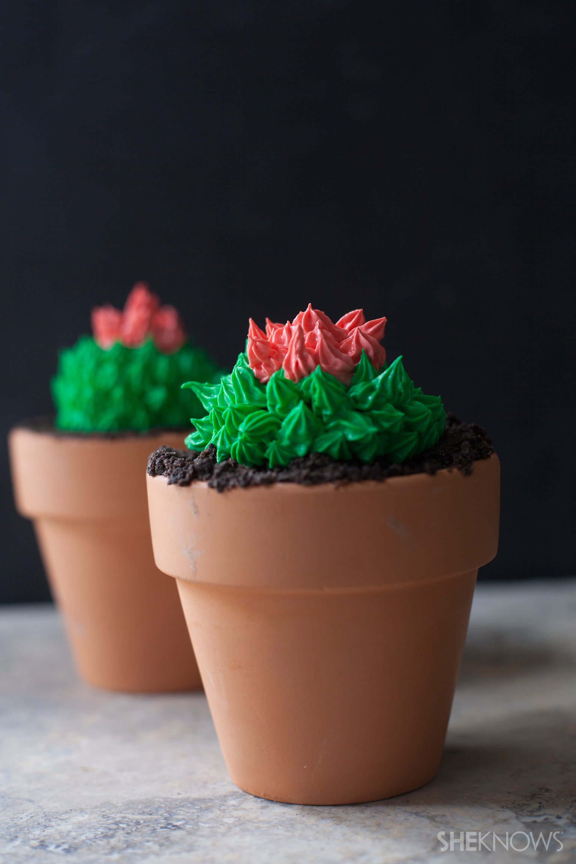 Cactus cupcakes