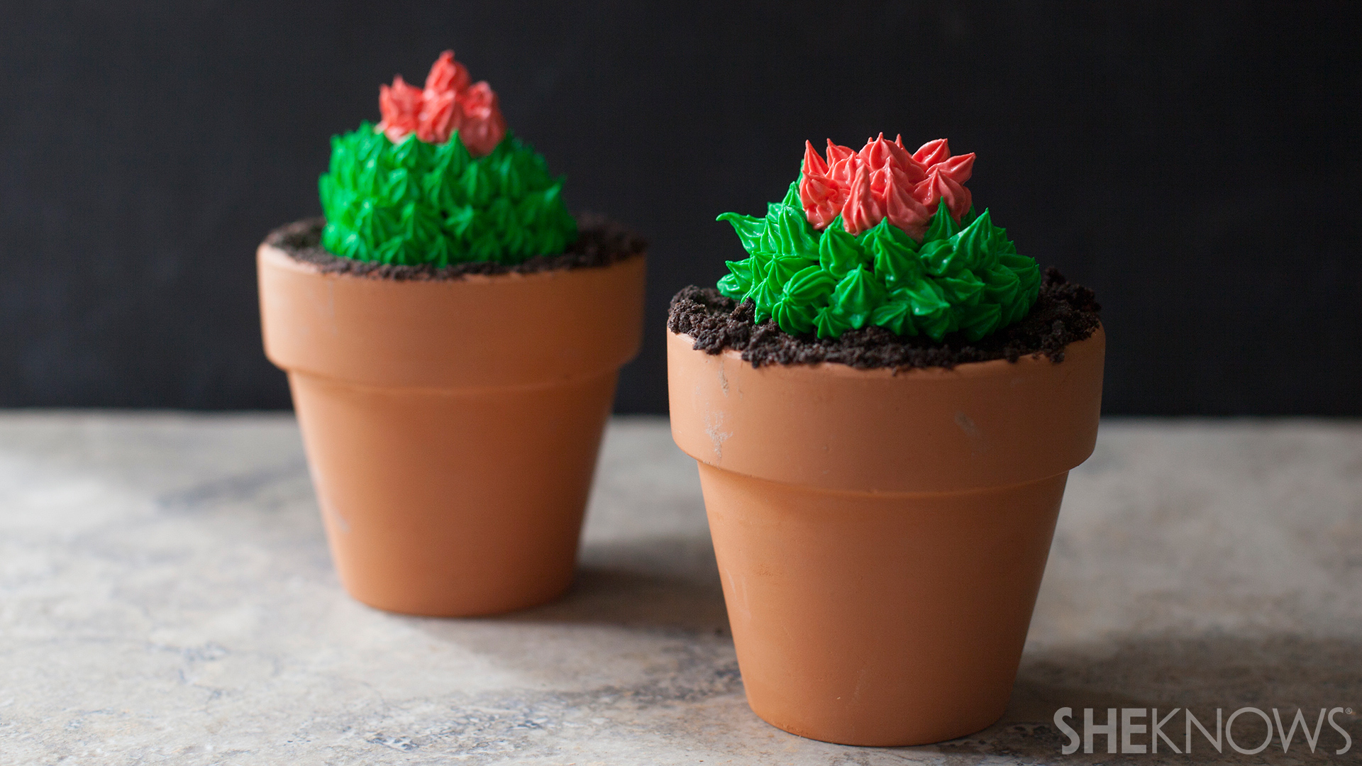 Cactus cupcakes