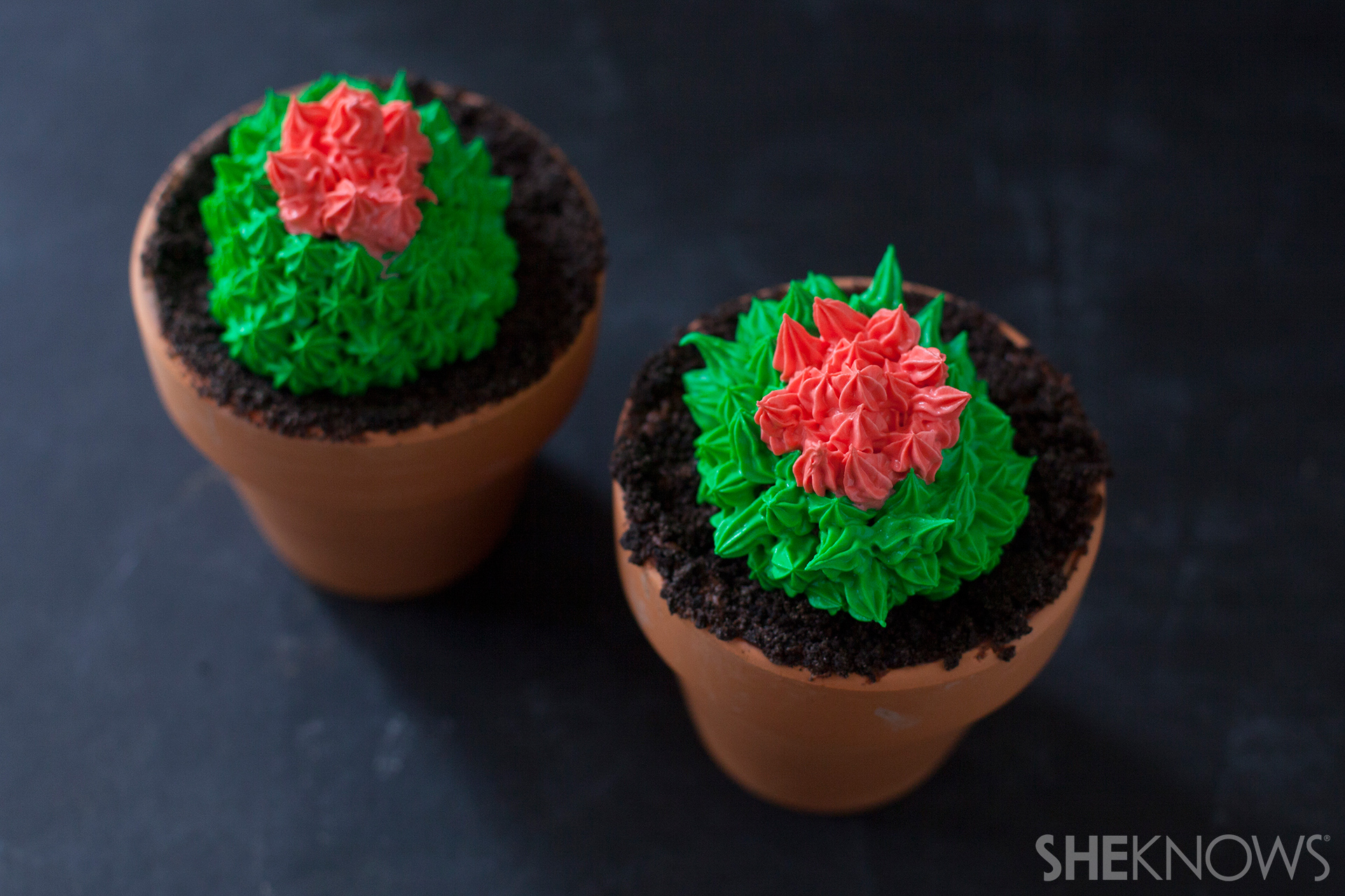 Cactus cupcakes