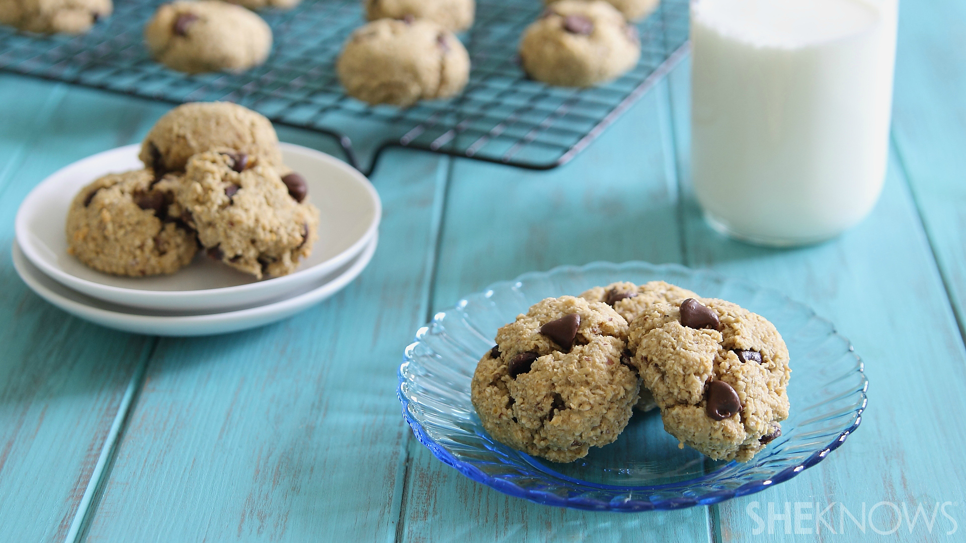 Chick pea chocolate chip cookies