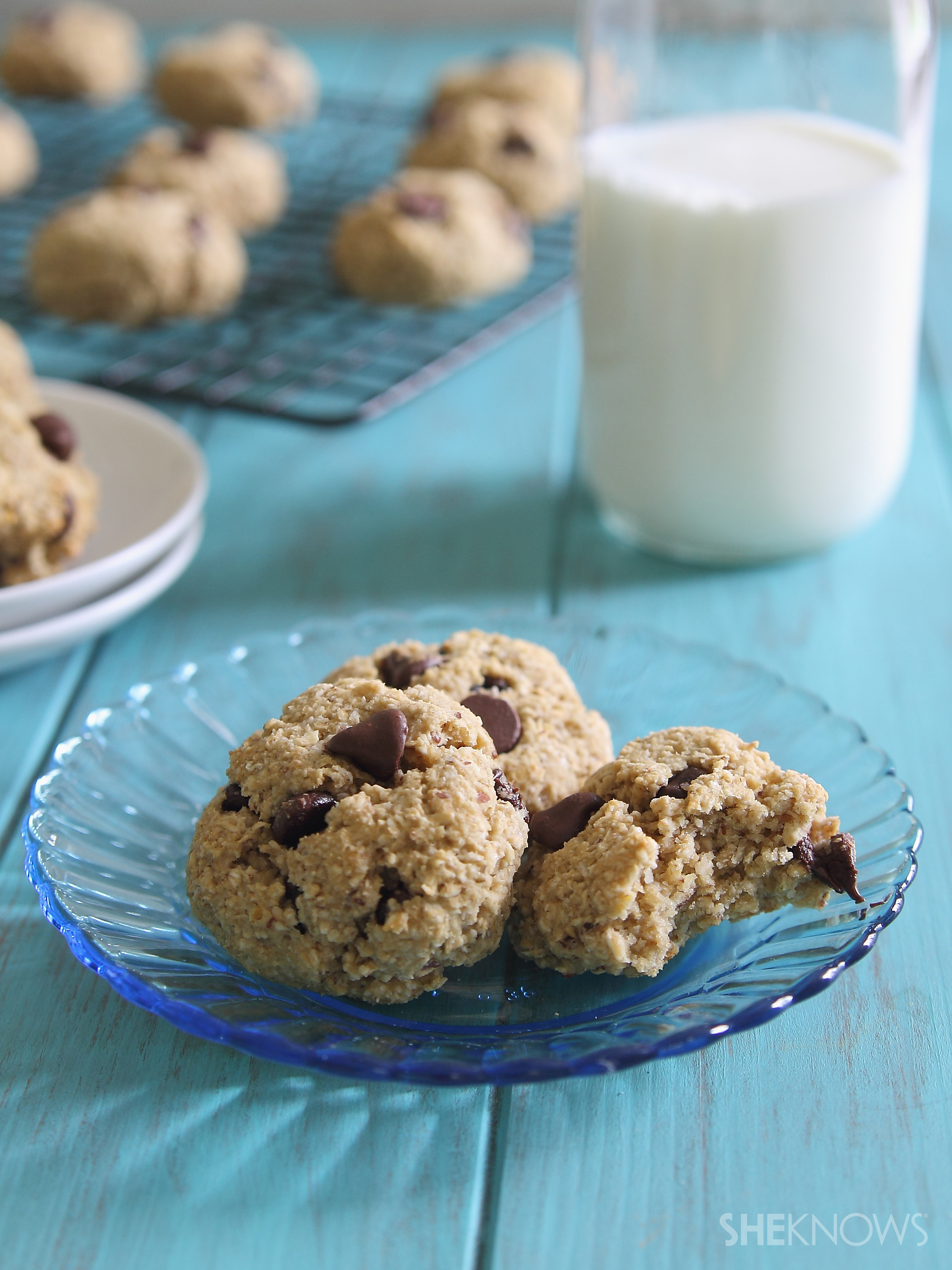 Chick pea chocolate chip cookies
