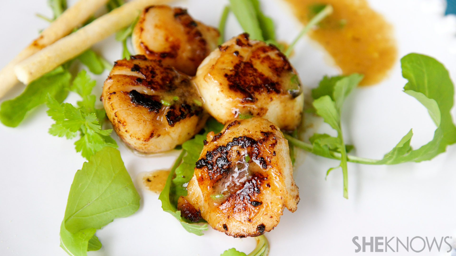 Pan seared scallops with champagne sauce recipe