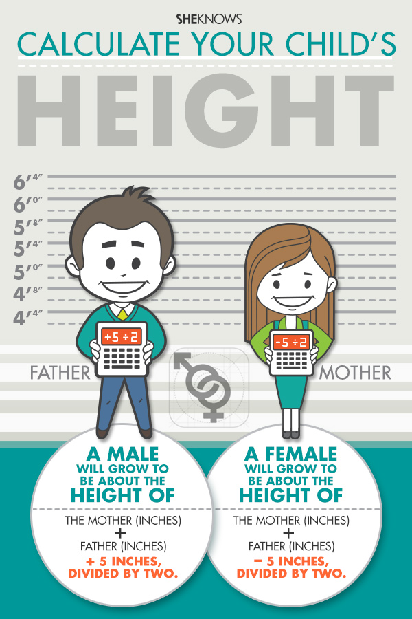 How tall will your child be?