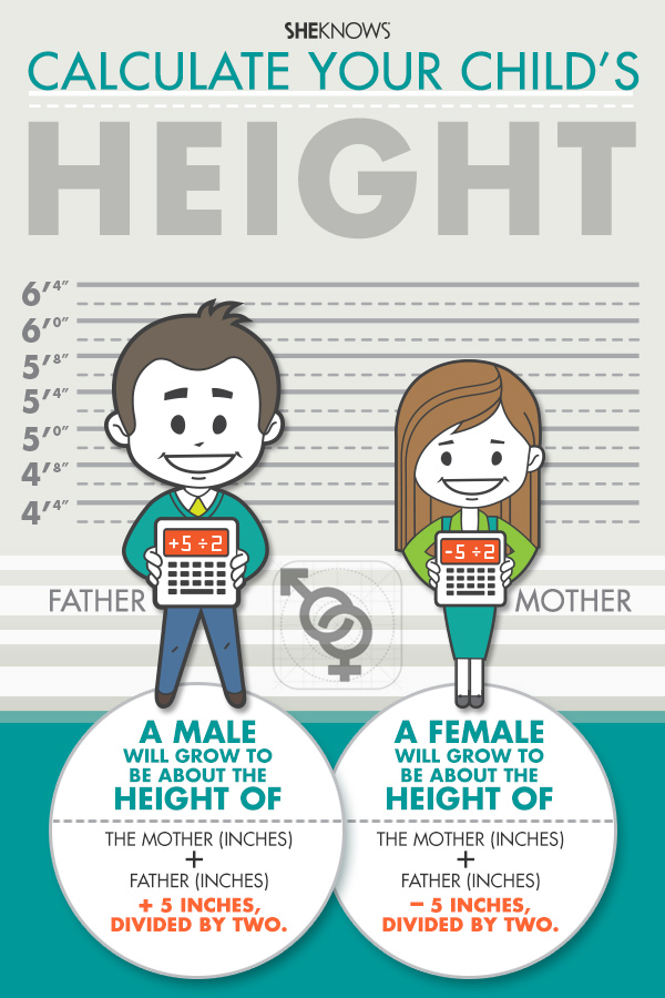 How To Calculate Your Height In Inches Haiper