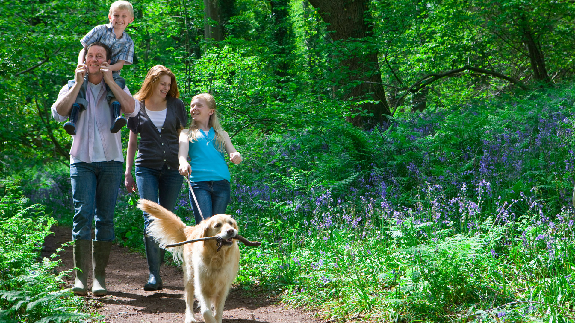 pet hiking