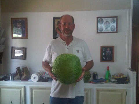 Father's day- Amy Norton King