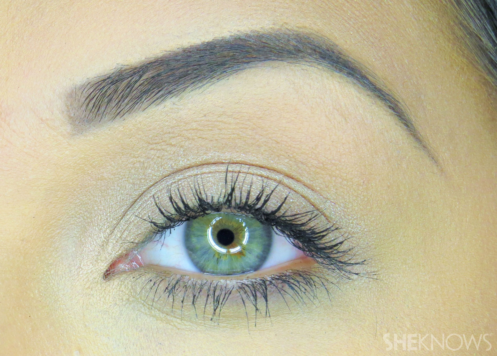 Bronzed beauty Step 2 Prime eyelid