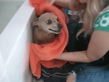 mad dog bath