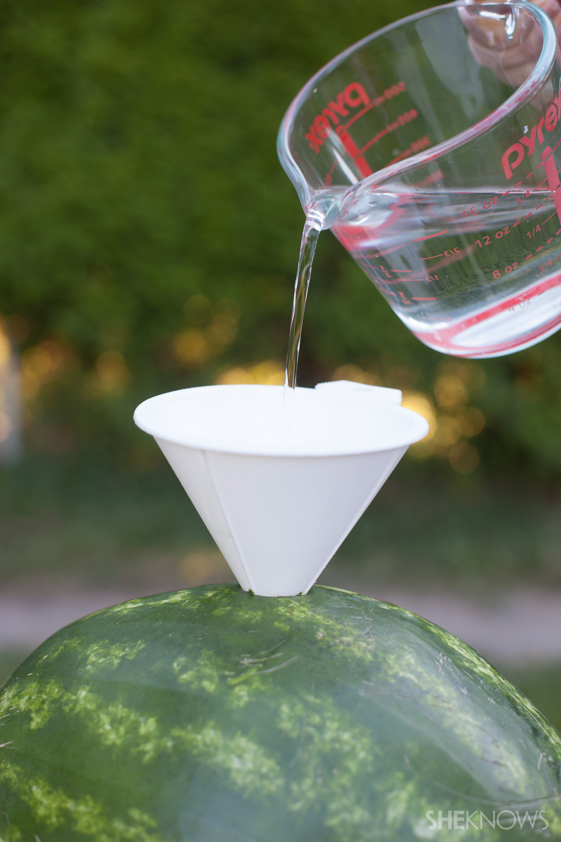 A vodka spiked dessert