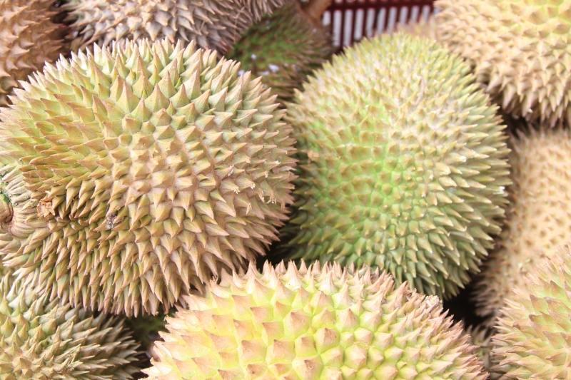 durian fruit