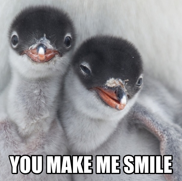 Meme about relationships