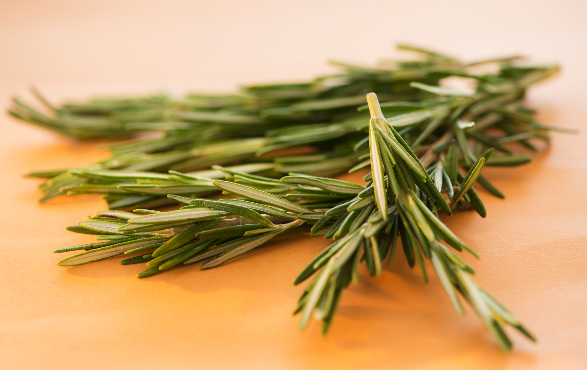 Rosemary