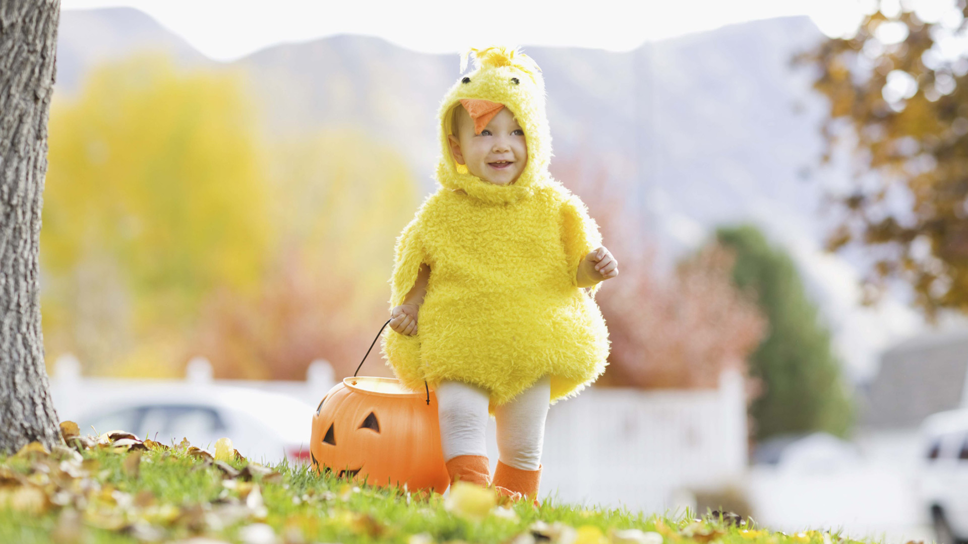 chubby baby costumes