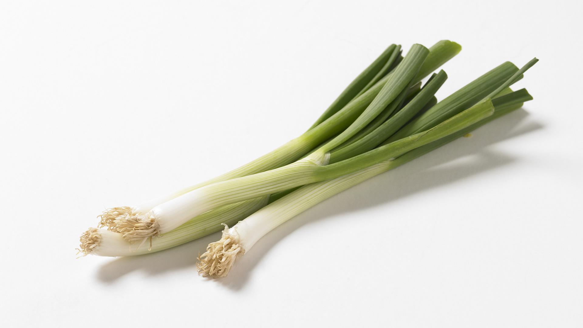 5 vegetables for your garden that go from seed to table in a month 5 vegetables for your garden that go from seed to table in a month