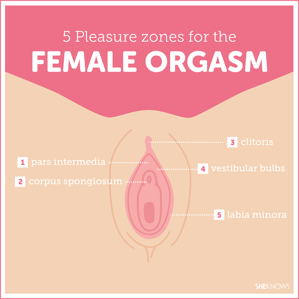 How To Have The Best Female Orgasm 118