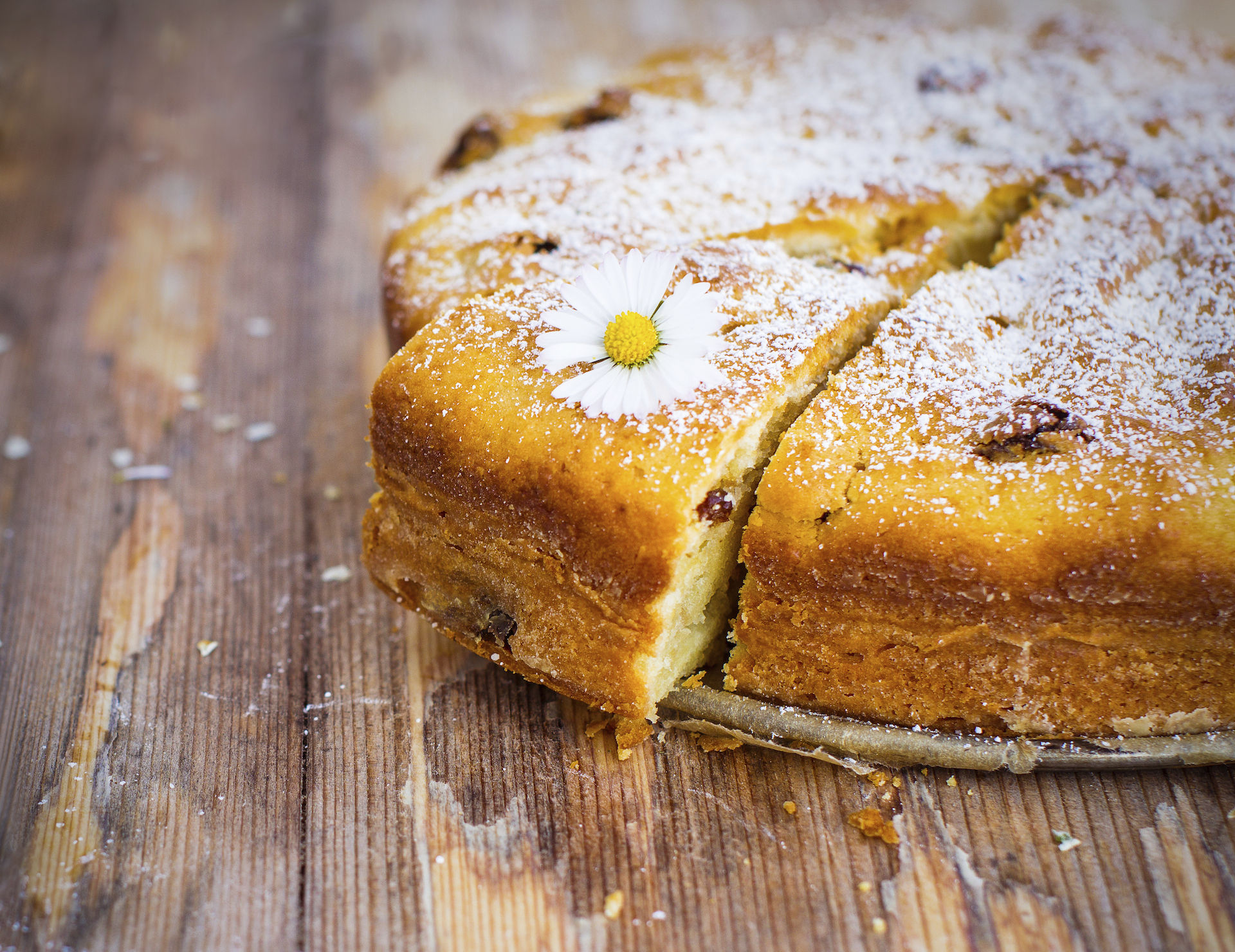 citrus almond cake