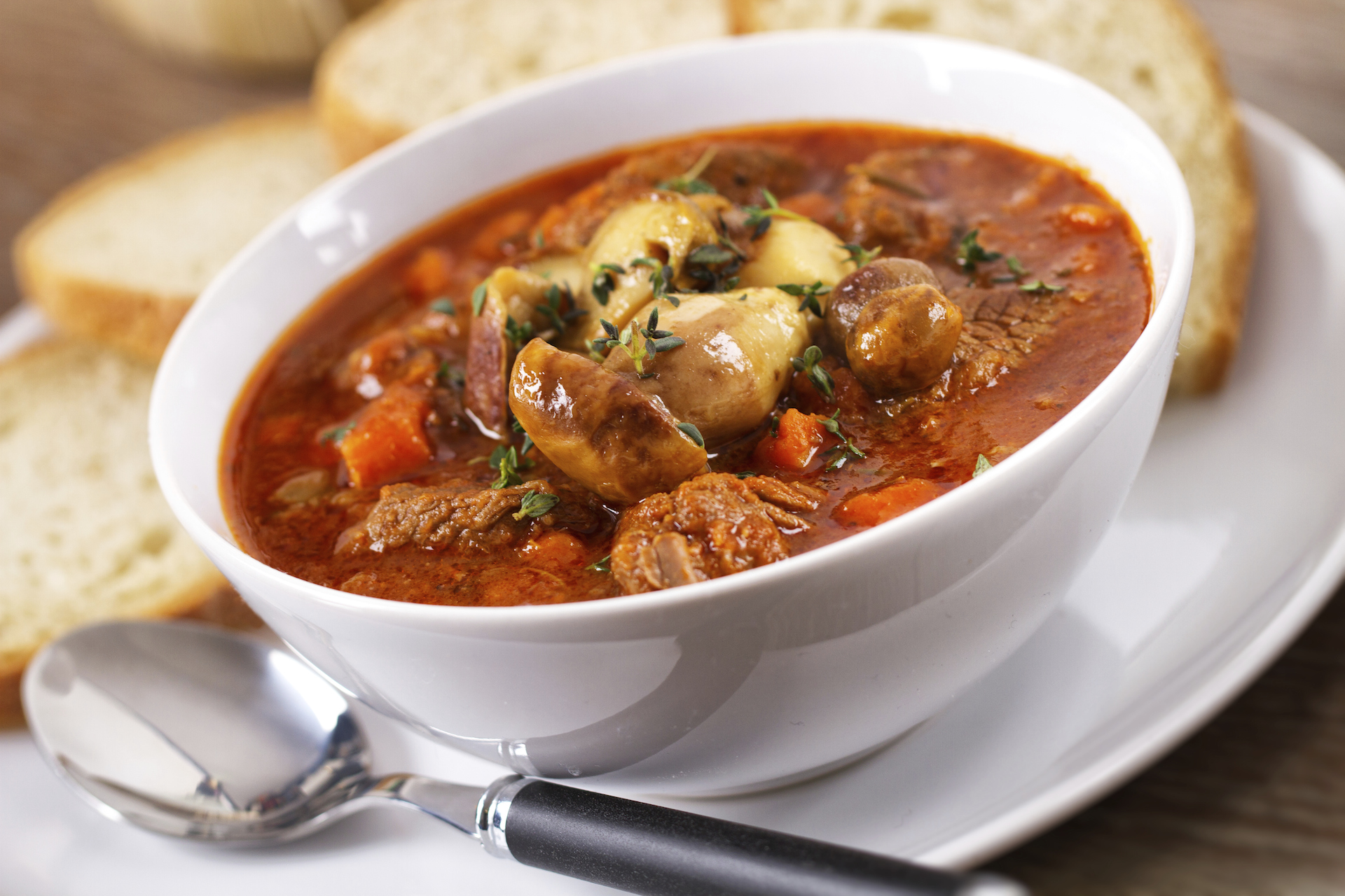 beef soup
