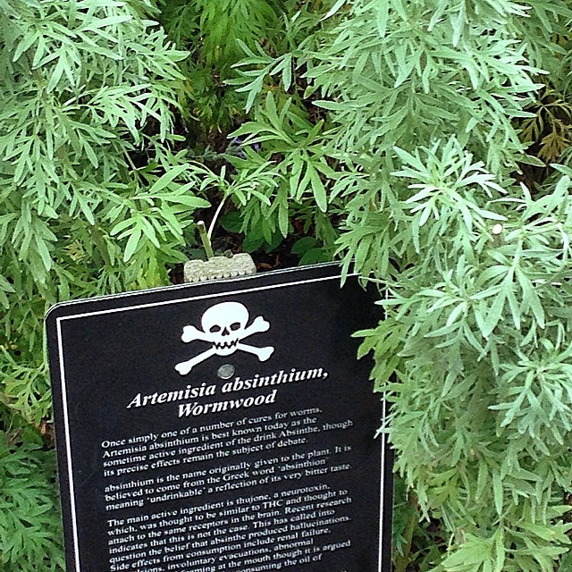 Take a look at the Poison Garden, the most dangerous garden in the world