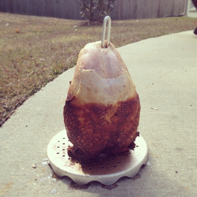 25 Thanksgiving FAILS we're totally thankful for