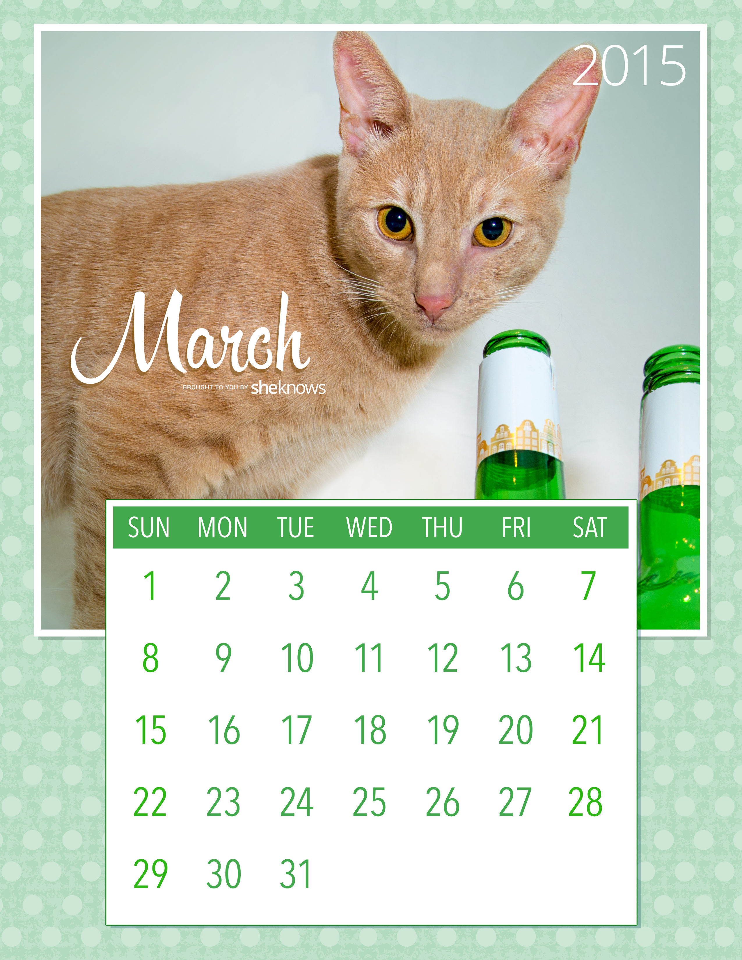 Free printable calendar filled with the cutest pets on the