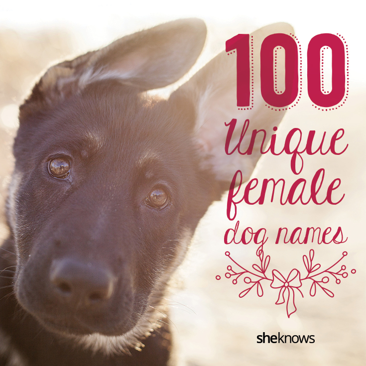 unique gurl dog names