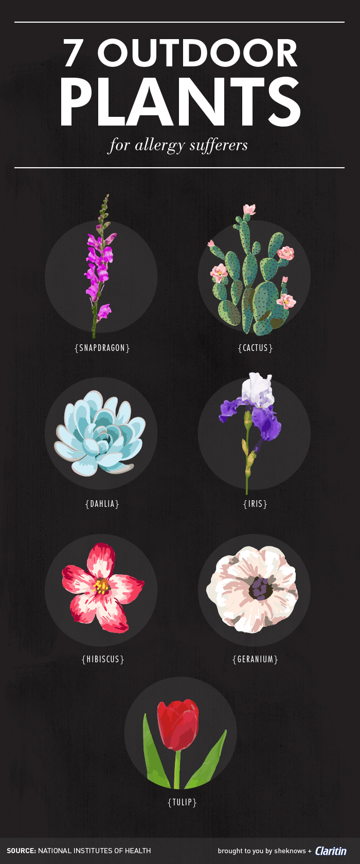 7 Outdoor plants that are friendlier to your allergies (INFOGRAPHIC)