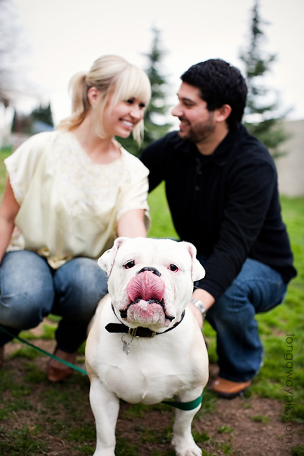 These dogs are happy to steal the spotlight from your big day