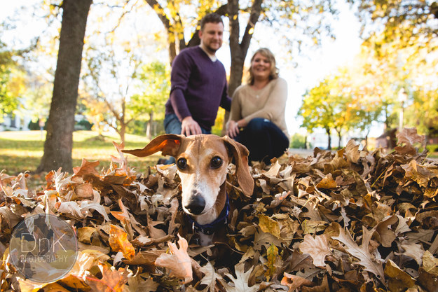 These dogs are happy to steal the spotlight from your big day