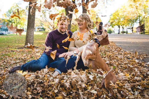 These dogs are happy to steal the spotlight from your big day