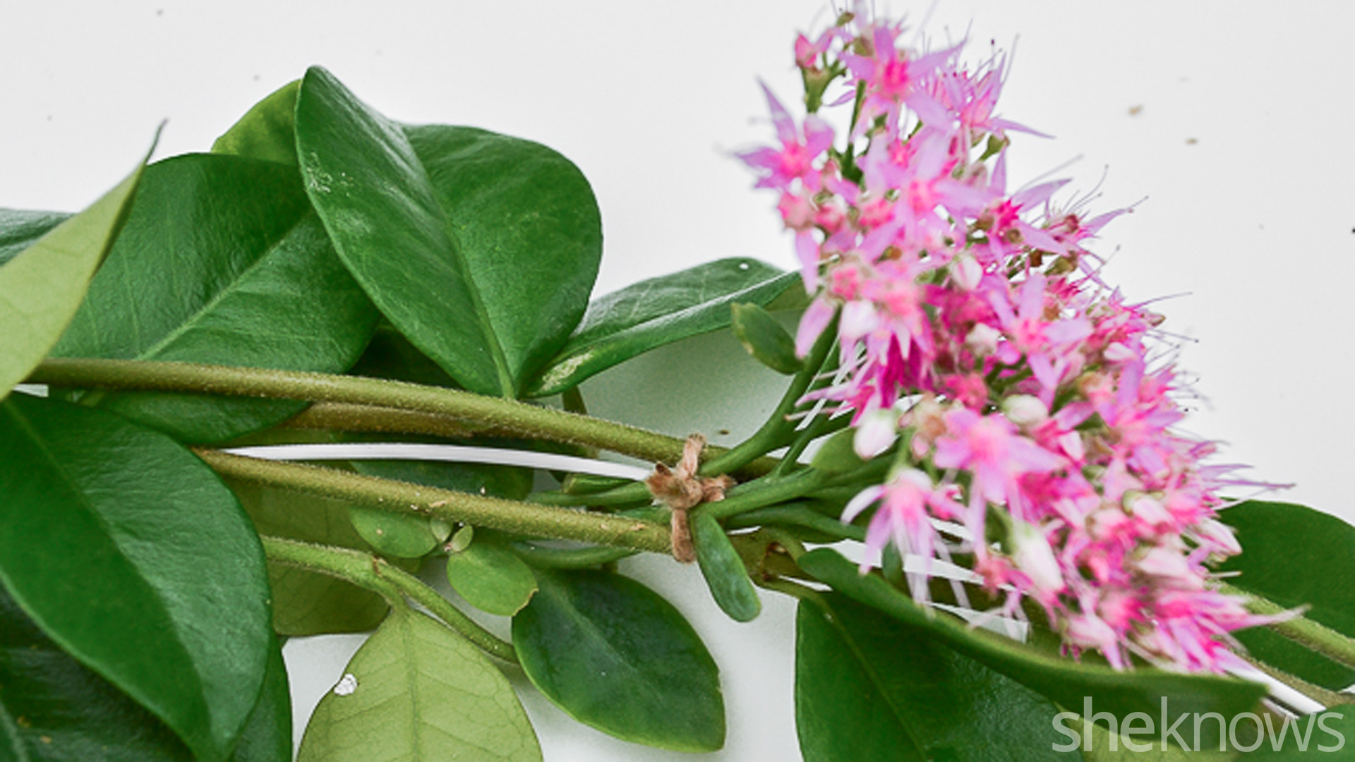 how-to-make-a-fresh-flower-garland-in-just-30-minutes