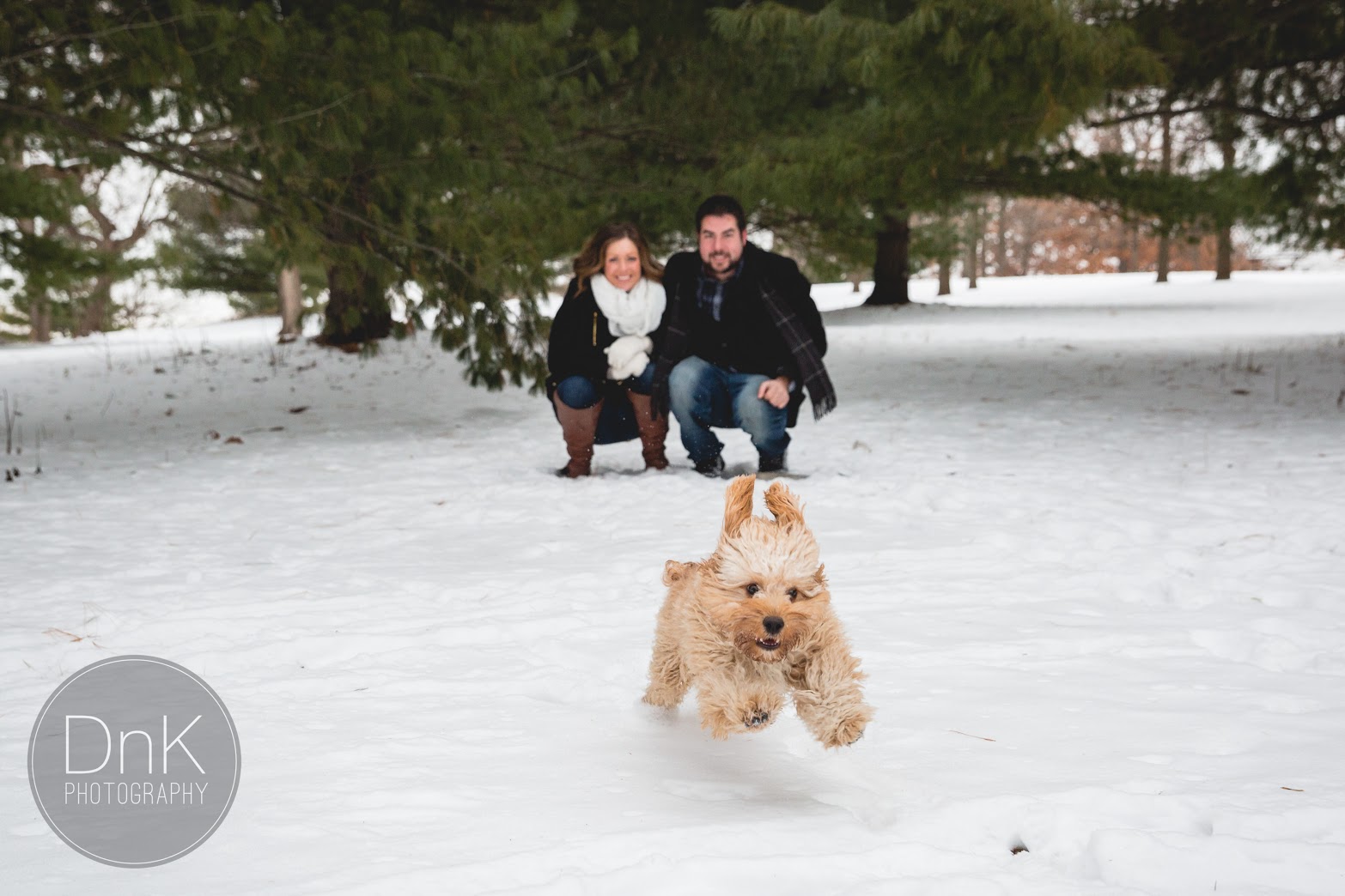 These dogs are happy to steal the spotlight from your big day