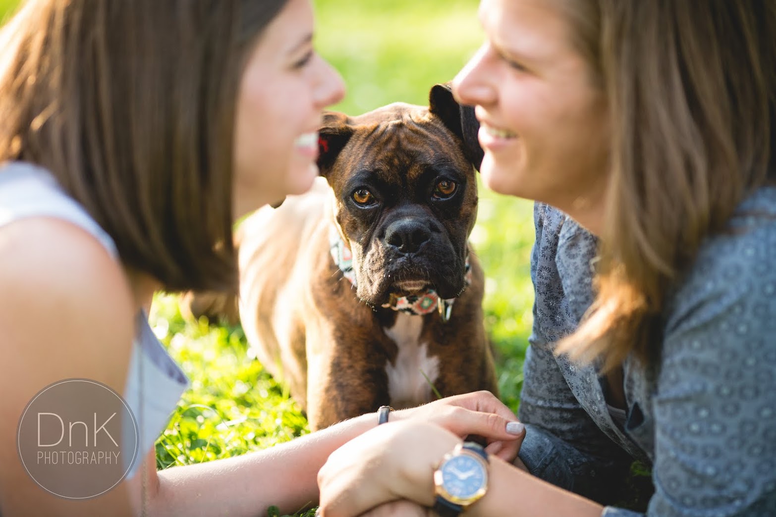 These dogs are happy to steal the spotlight from your big day