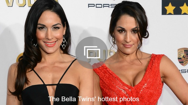 bella twins hottest photos