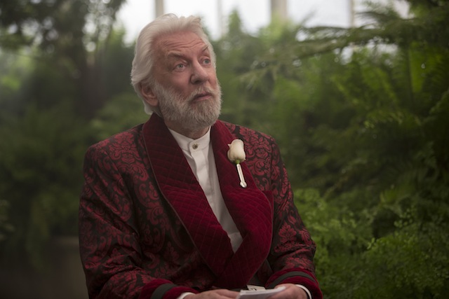Mockingjay Part 2