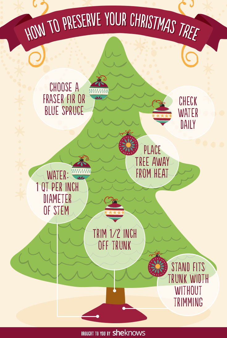 How to keep your Christmas tree fresh and fragrant through the holidays