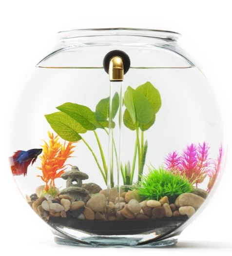 No Clean Aquariums
