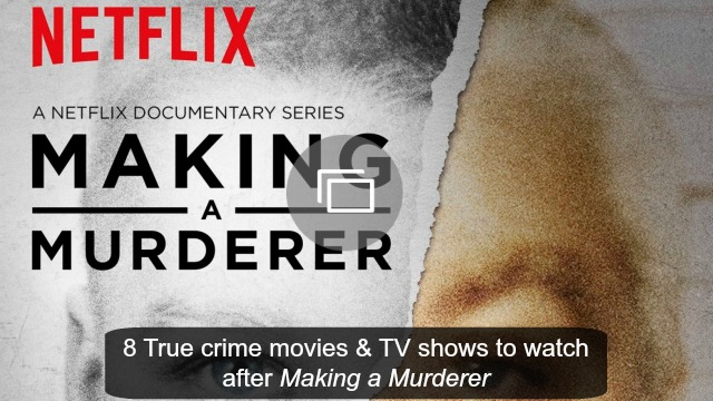 Making A Murderer Steven Avery Film Brad Pitt