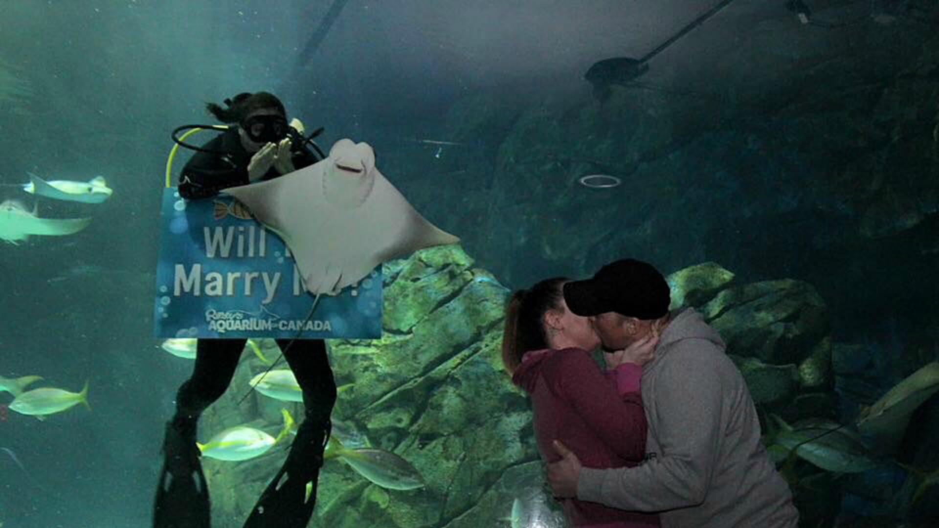 Couple's romantic proposal photobombed by a stingray