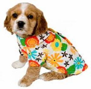 Aloha dog shirt