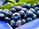 Pro-oxidants & antioxidants