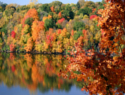 4 of the top fall festivals in Canada