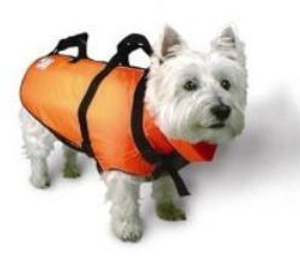 Life vest