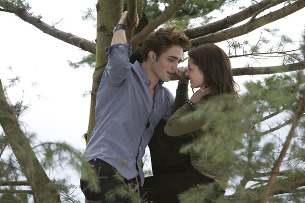 Thousands of feet up, Edward and Bella fall in love