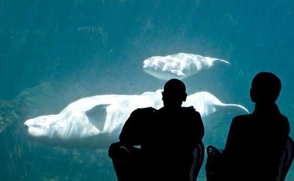 Vancouver Aquarium