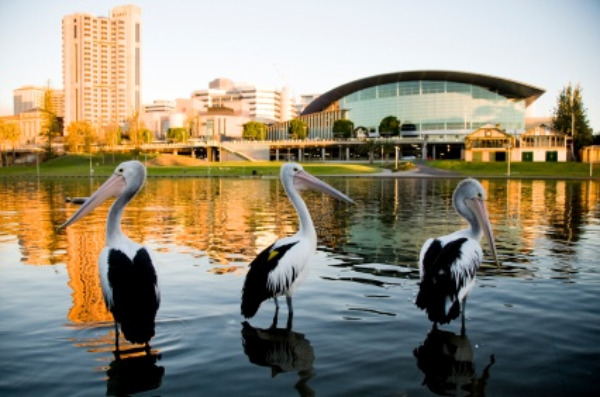 Adelaide Tourist Attractions