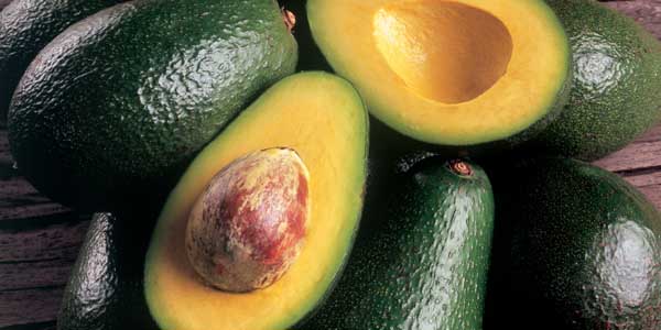 avocadoes
