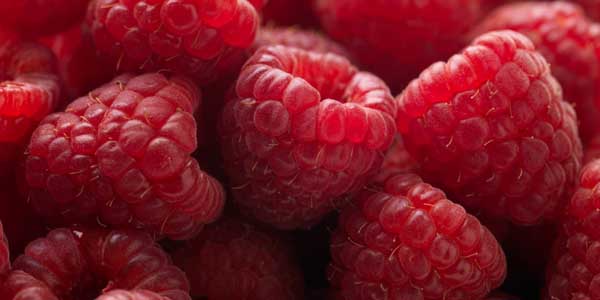 Raspberries
